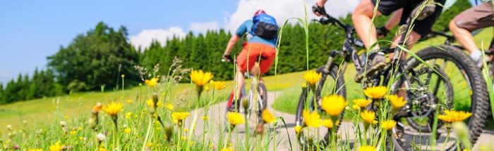 Balade à vélo dans le Jura
