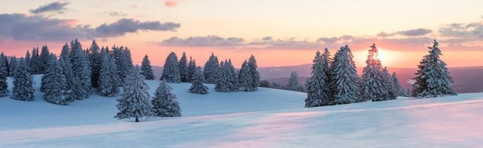 Hiver blanc dans le Jura