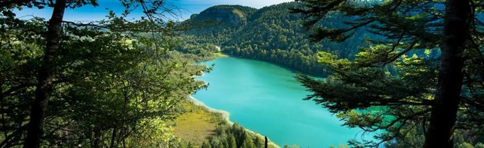 Lac du Jura en été