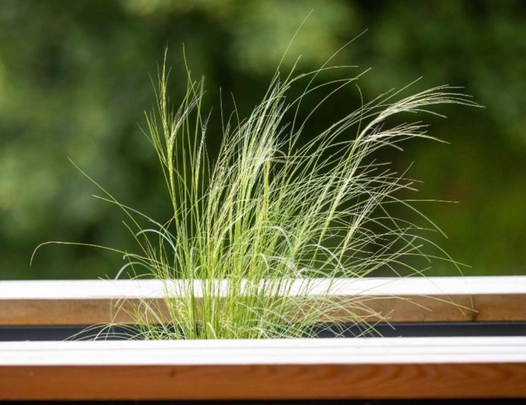 Gîte de luxe dans le Jura au printemps en mars 2026