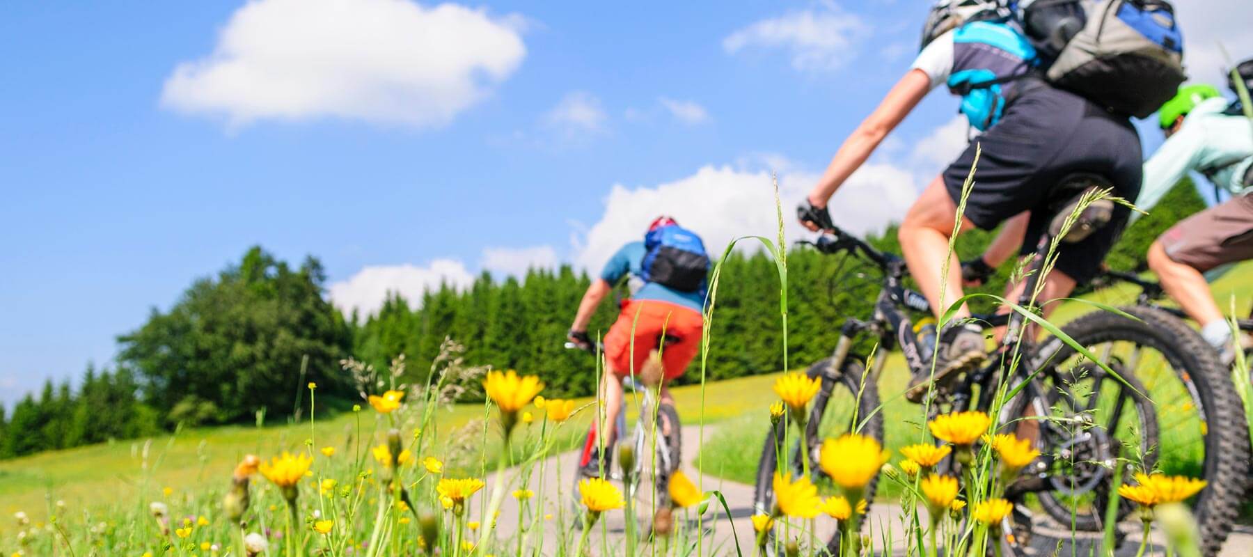 Pratiquer le vélo et le VTT dans le Jura toute l'année