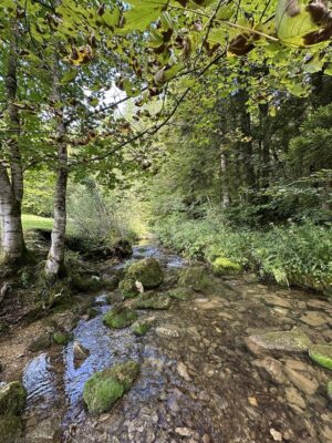 Visite et Balade dans le Jura à Les Nans