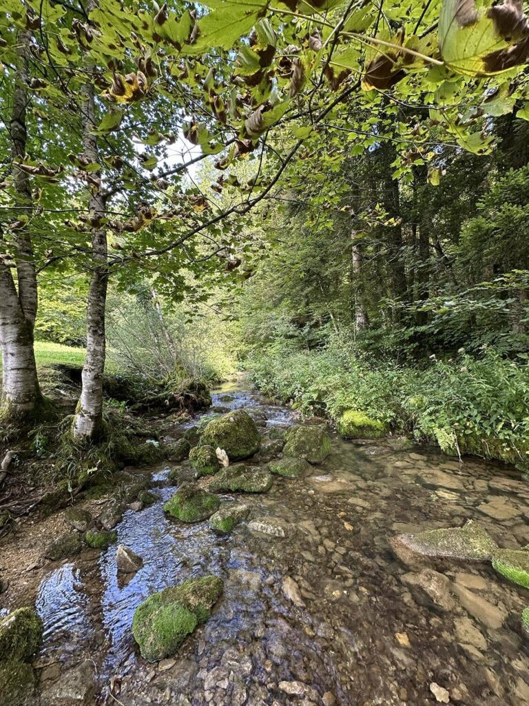 Visite et Balade dans le Jura à Les Nans