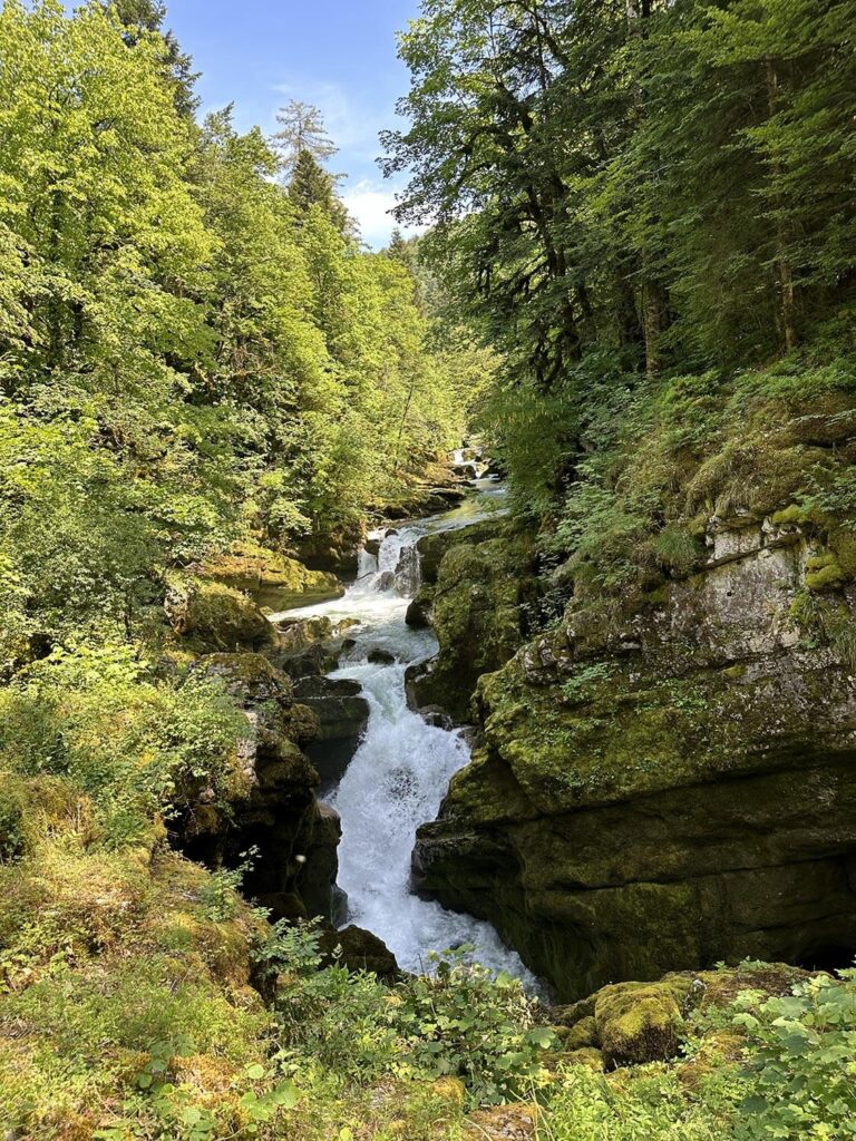 Visite et Balade dans le Jura aux pertes de l'Ain